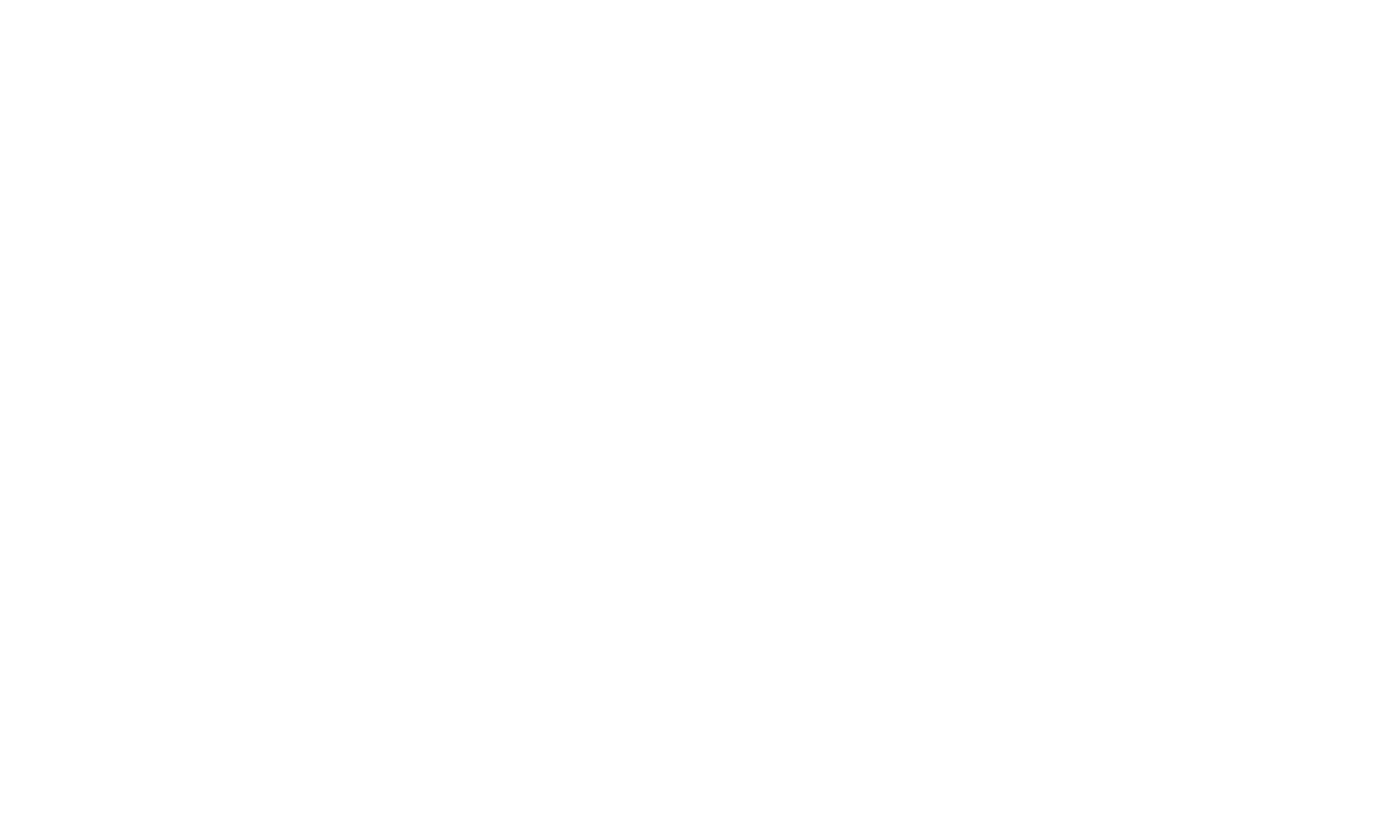 SNT Akademi Logo
